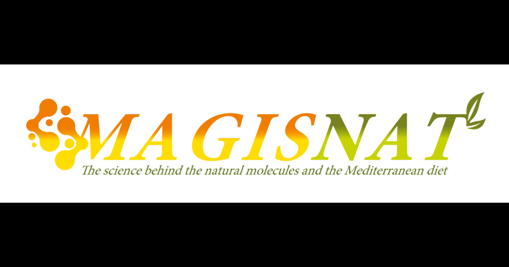 MAGISNAT