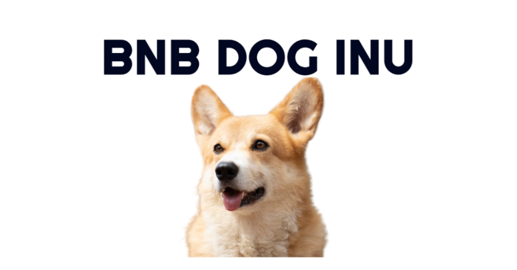 BNB Dog Inu