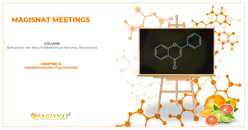 Understanding Flavonoids