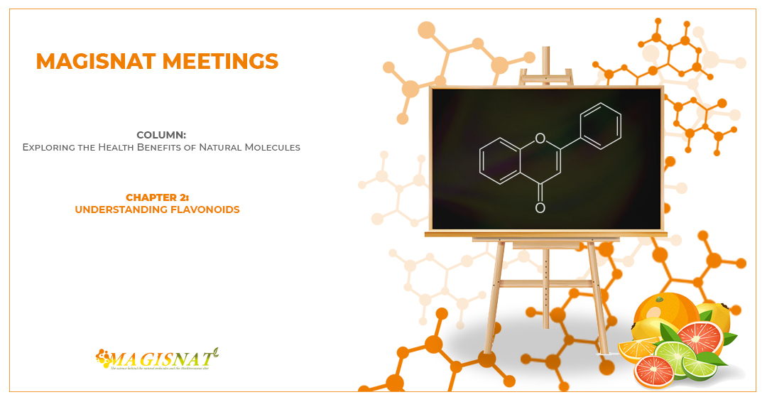 Understanding Flavonoids
